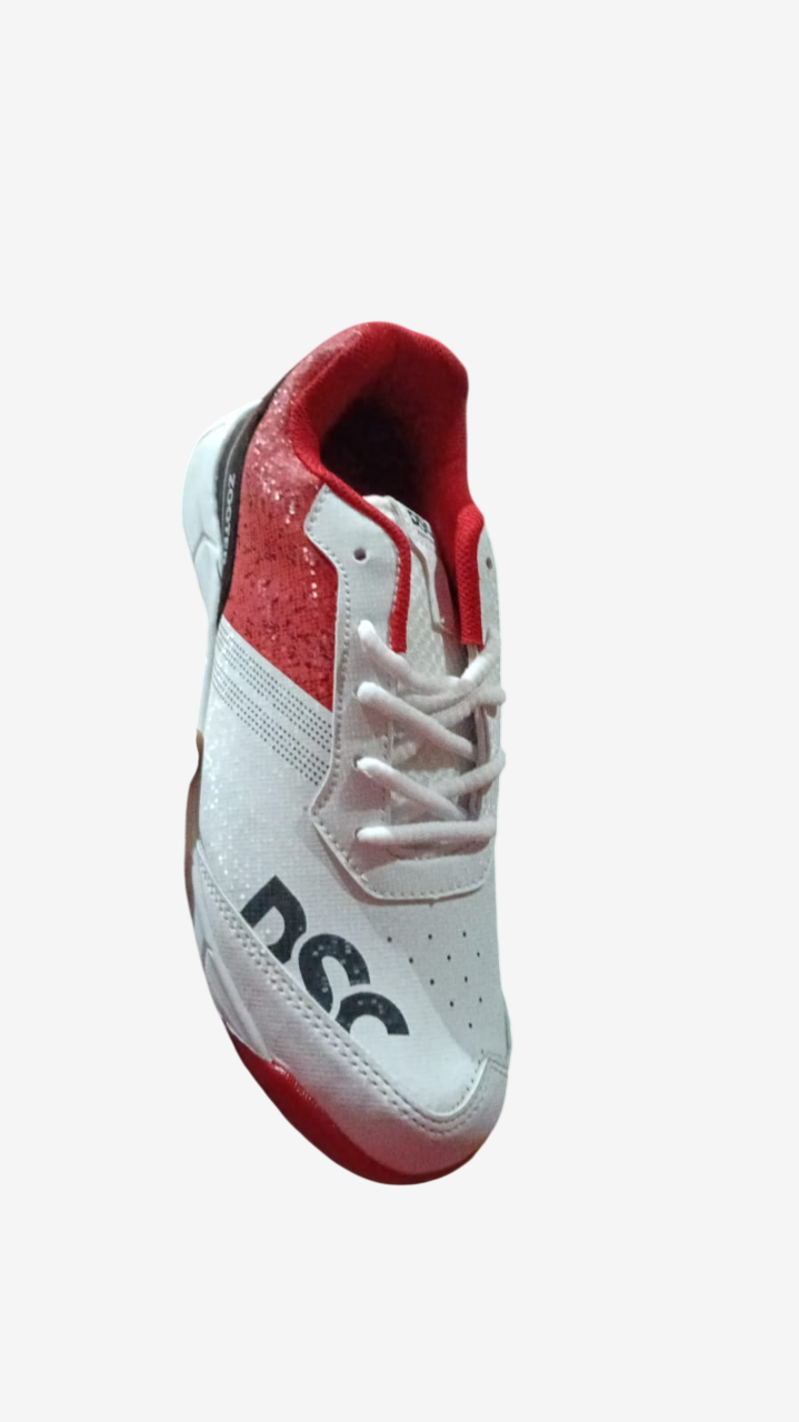 DSC Zooter Cricket Stud Shoes